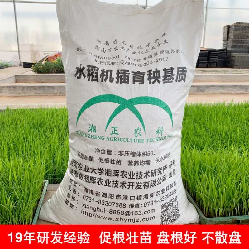 水稻育秧基质 水稻育苗土 水稻秧盘 机插秧 抛秧水稻育苗基质 000