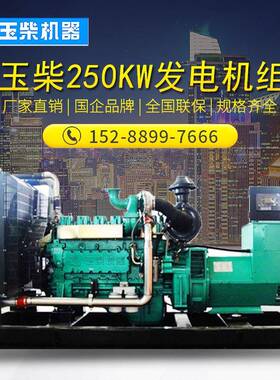 玉柴电250KW2柴油发电机组YC6M250KW玉K420-D0商L场用全自动250千