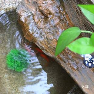 水喷ZOX泉摆件鱼缸水循环新中式仿复院装饰古水系水流景观鱼池庭