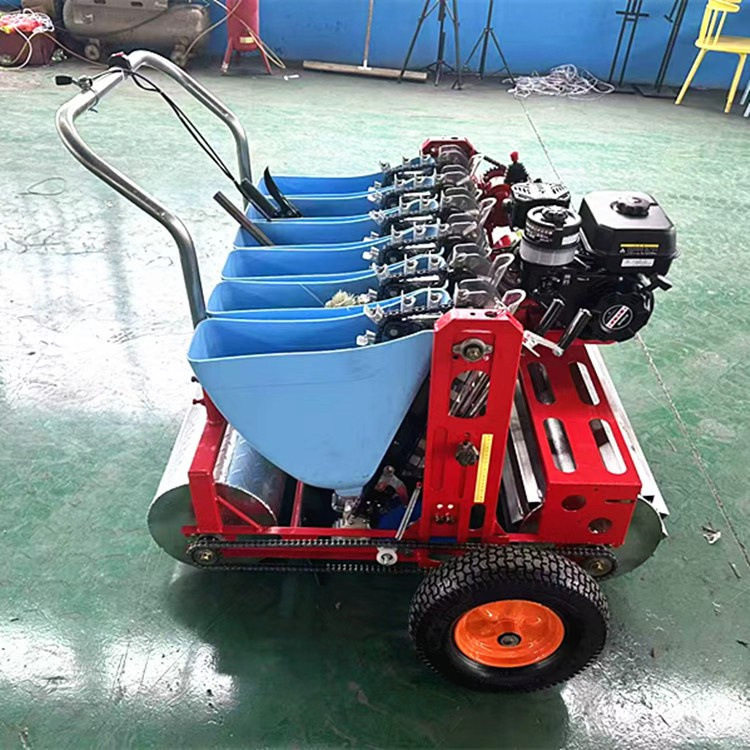 小型家用手推电动种植机  三行种穴播机 汽油7.5马力大蒜播种机