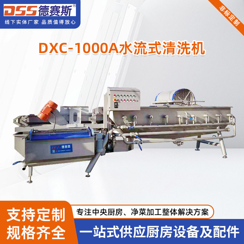 供应食品/饮料加工定制及餐饮行业设备DXC-1000A水流式清洗机