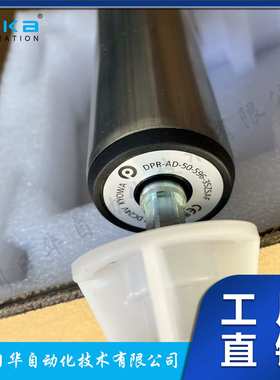 德马Damon电动滚筒输送滚筒DPR-AD-50-772-45ZSHP