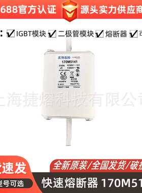 170M5141 170M5142 快速熔断器  保险丝 电子元器件 量大价优