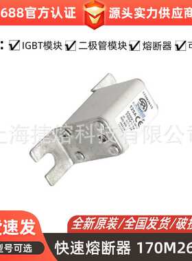 170M1853 170M2615  170M2619快速熔断器 电子元器件 库存充足