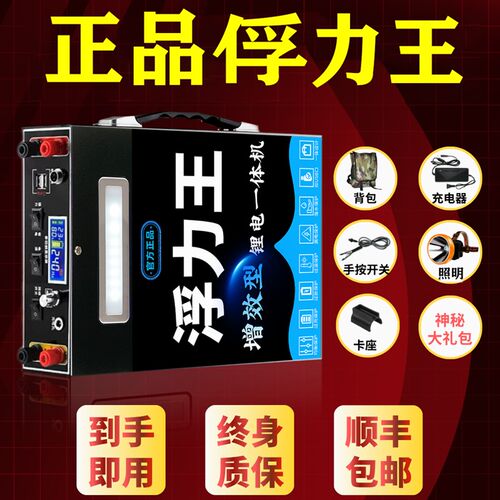 正品199v锂电池一体机大功率整套容逆变一体户外便携新能源电瓶