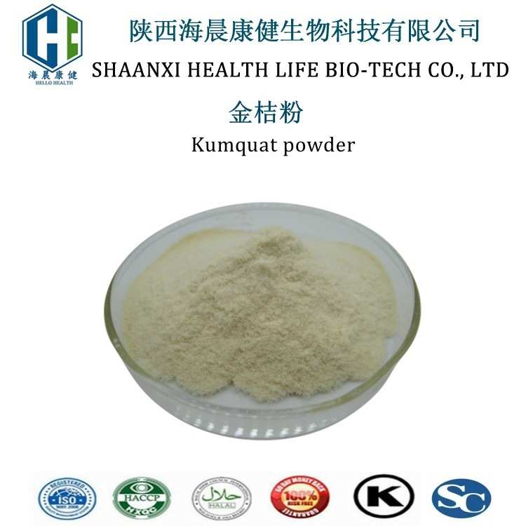 金桔粉 98%  Kumquat powder 金桔果粉 现货供应  海晨康健