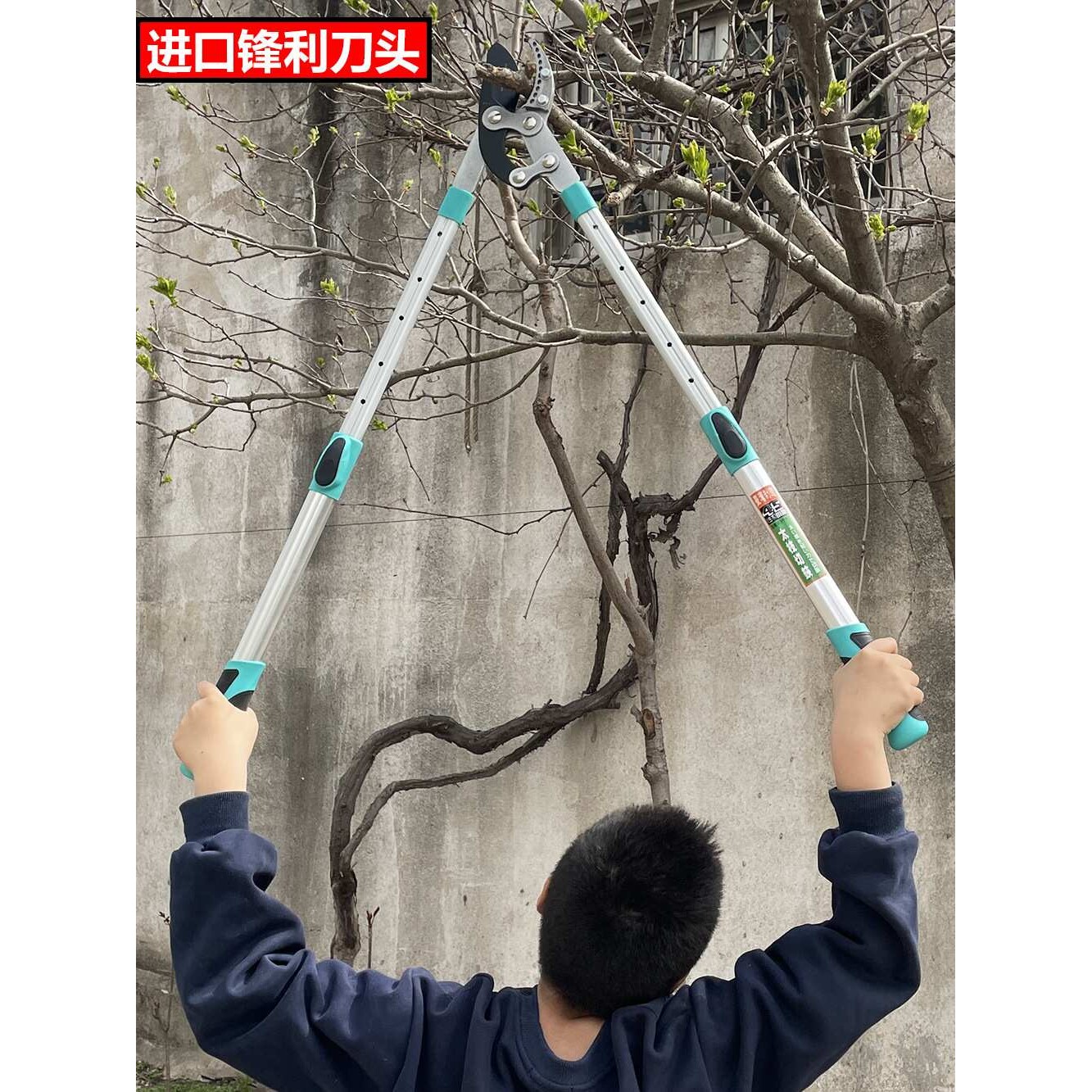 剪树枝剪刀修剪粗枝大剪刀果树修枝大力剪剪子艺园林工具