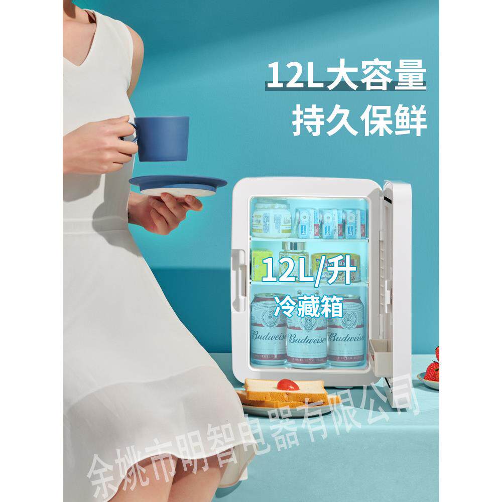 12L迷你美妆小冰箱迷你LED微型宿舍母乳美化妆镜冷藏车载家俩用