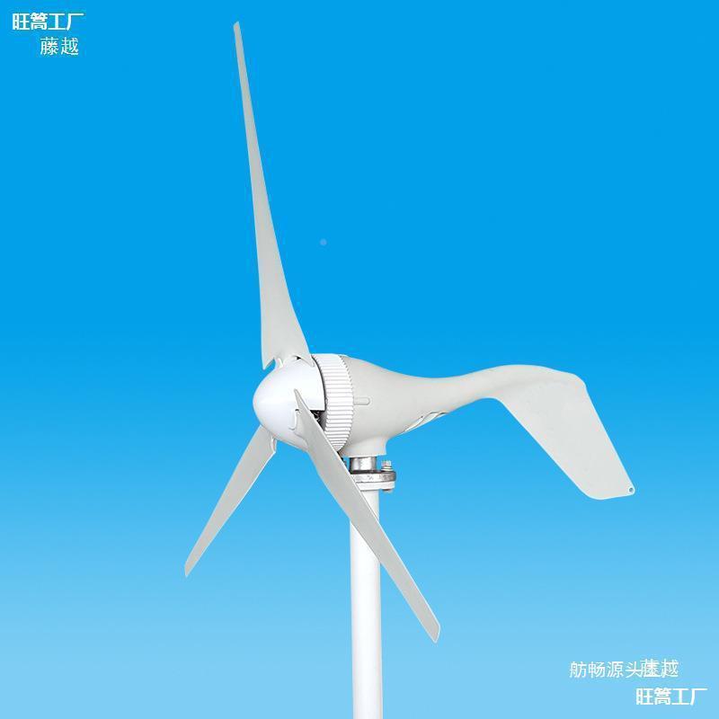 微风启动小型200水W力发电机平200W12V轴S型2路灯用家用风光风互