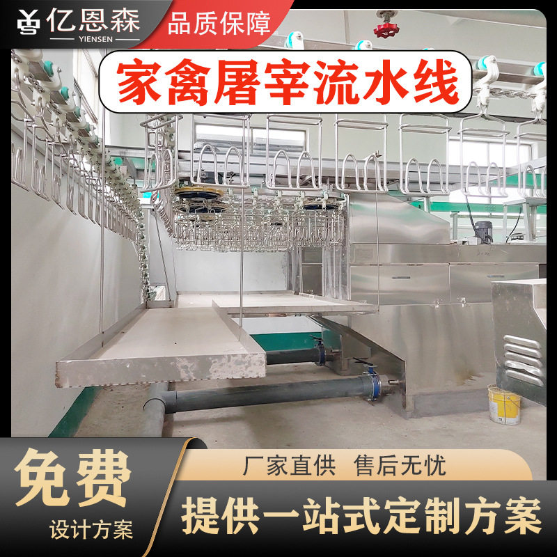屠宰鸡的流水线 家禽脱毛设备 屠宰场脱毛机 杀鸡设备