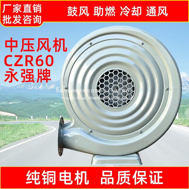CZR60永强牌中压鼓风机商用酒店工厂灶台风机250W220V 吹风机380V