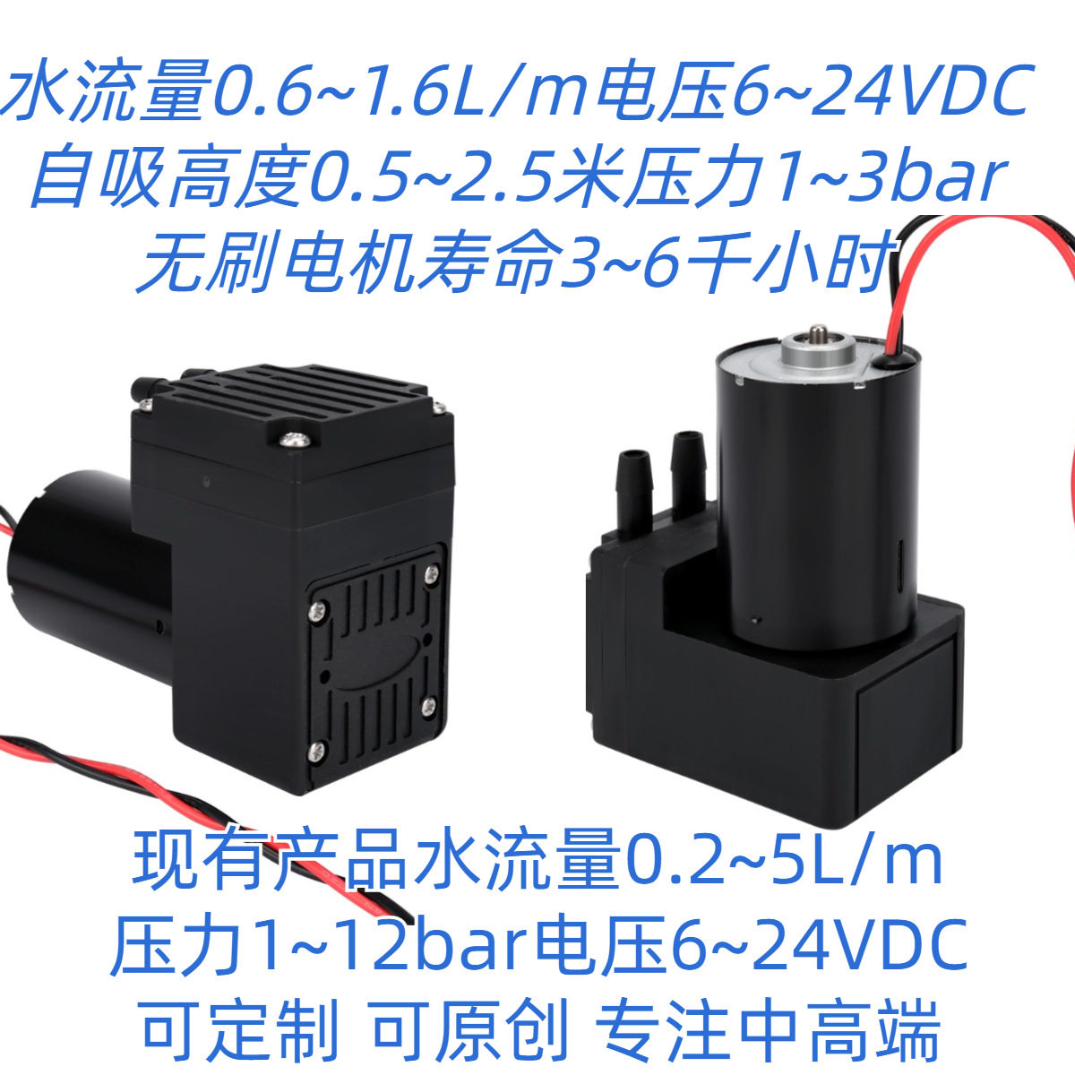 1.2L隔膜无刷水泵12V/24V