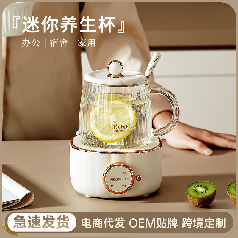 迷你电炖杯养生杯烧水煮茶