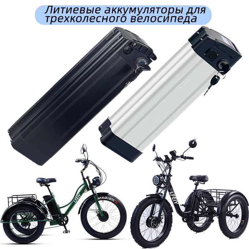 电动三轮车专用48V18AN银鱼锂电池三轮车电瓶 零售长续航电池