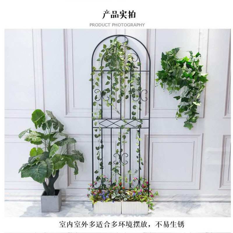 铁线莲月季植物拱门爬藤架户外庭院网支架杠铁艺小鸟花架铁艺花架