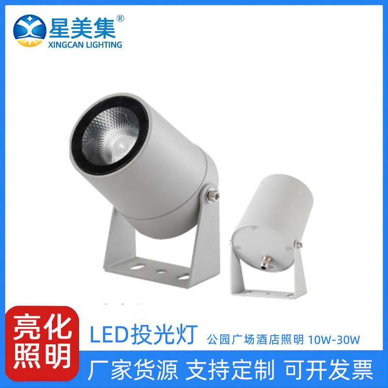 户外LED投光灯10W20W30W工程照树灯外墙灯高亮