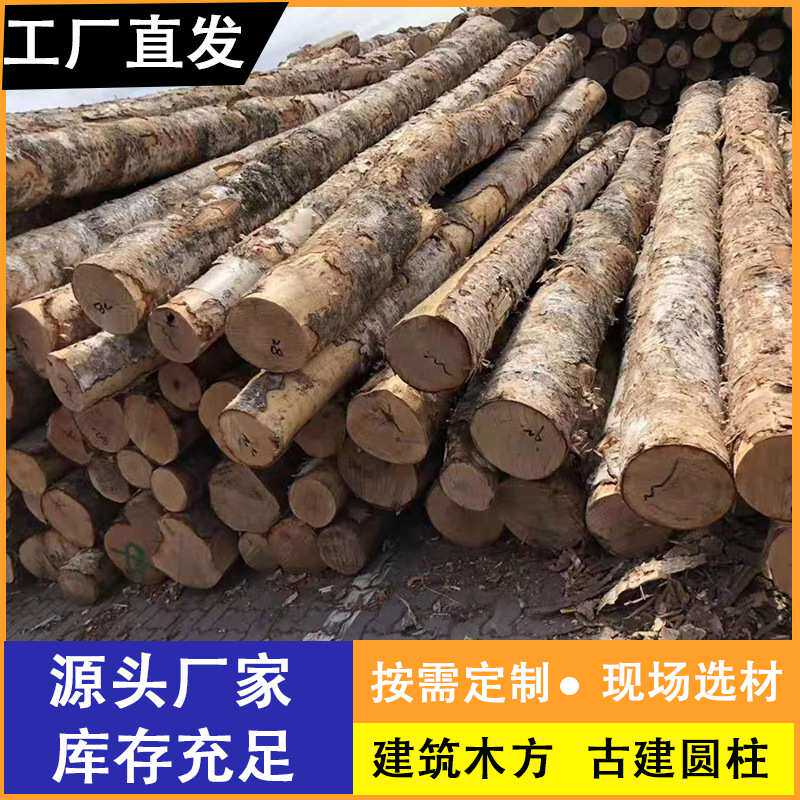 白桦枫桦桦木原木防腐木旋切、家具、装修适用桦木原木板材