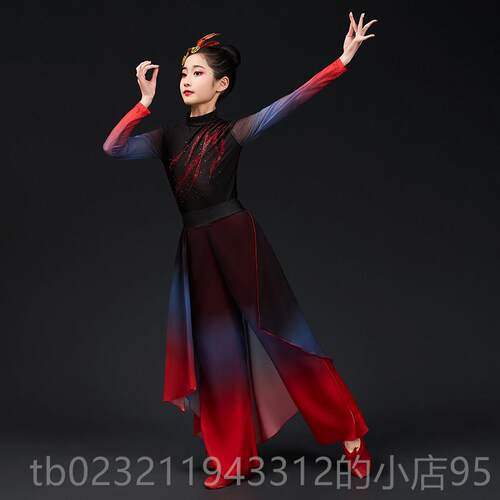 高档儿国童象王行舞蹈服装州剑扇子舞女童汉服中风同古典舞演出九