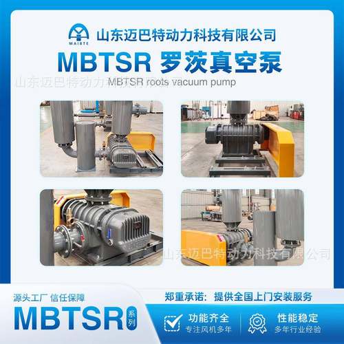 真DZL空气力输送高压低压真空上料生造纸厂三叶活泵罗茨真泵工空