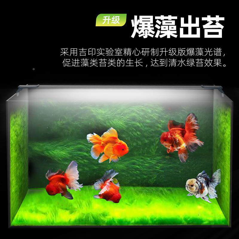 吉印金鱼专增用爆藻灯鱼缸灯照明灯led灯防水兰寿增i7plus金色艳