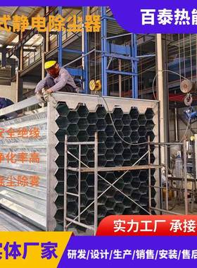 湿尘式静电除尘设器压静电除高废气处理电捕焦油RGX器除尘备