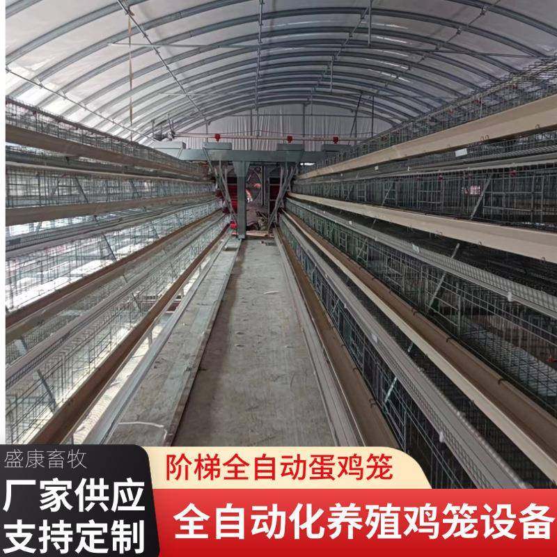 A型蛋鸡笼热镀锌全自动机化清粪养鸡设备三层四层阶梯式蛋鸡笼,畜牧/养殖物资,特种养殖设备,淘宝优惠券,粉丝福利购,淘宝优惠卷