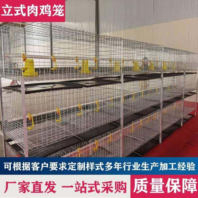 三层立式肉鸡笼镀锌防锈半自动养鸡设备鸡笼养殖场三层两门肉鸡笼,畜牧/养殖物资,特种养殖设备,淘宝优惠券,粉丝福利购,淘宝优惠卷