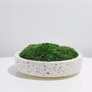 简生GD-H221约现代色花盆摆件仿真青苔绿植饰客厅桌面酒店永苔藓