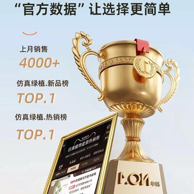 南绿植轻奢室内客厅视柜落地摆天件XHY仿电生植物盆竹栽假树