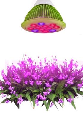 高亮度植物灯12MUKLE红光620-660nm蓝光4D波50nm6:3:3长植物光补