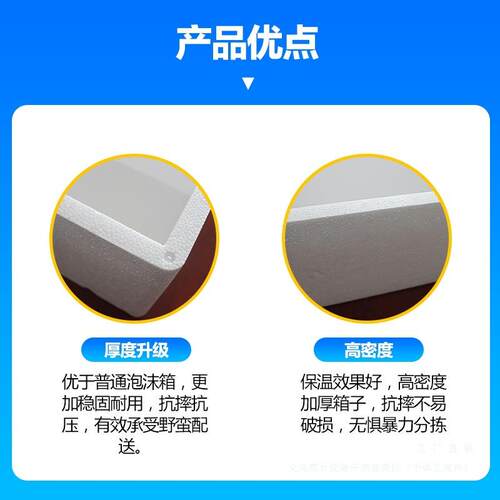 邮政泡沫盒箱保IHF温装箱种菜号水大果保鲜冷藏加厚电商快递包子