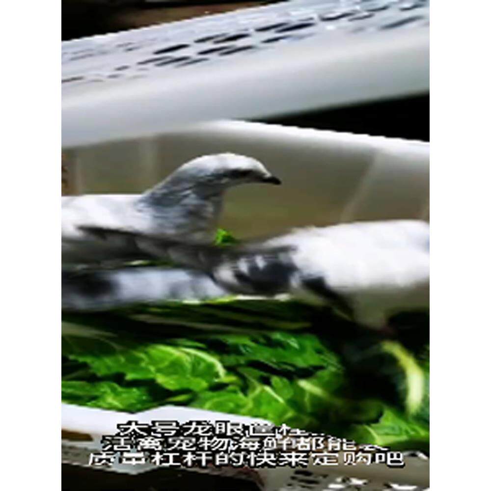 ?发快活禽塑PHF料含输盖套装递运塑框料筐菜筐大号水果篮不易坏泰