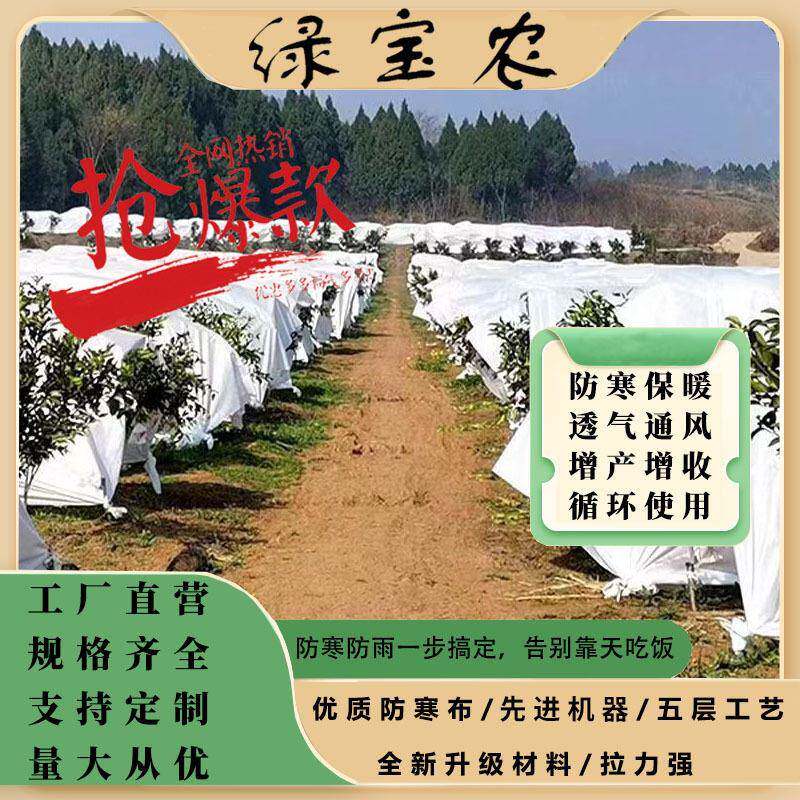 柑果9653树农用防寒布霜加厚橘气防冻果透园茶树防雨布沃柑防冻保