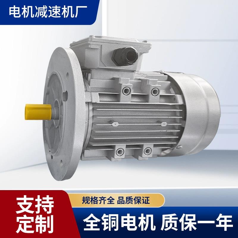 YE3/YS三相两极2800转电机0.09 0.18 0.37 0.75 1.5 2.2kw电动机