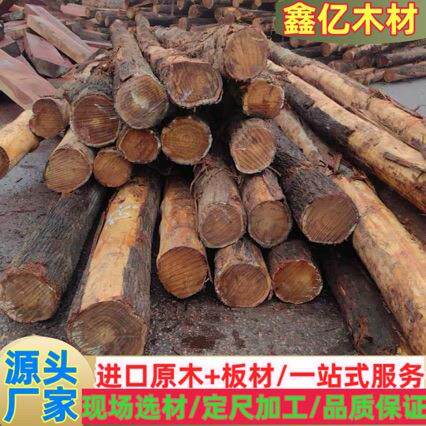 红心柏 血柏刺柏棺木方料 黄香柏家具装修寿材雕刻园林古建 油柏