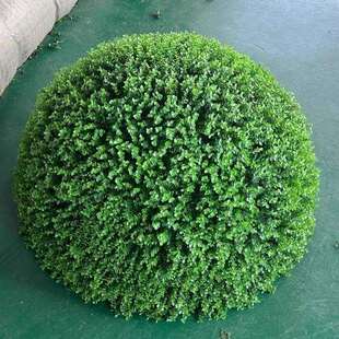 户外井盖遮挡装饰品遮丑尤加利草球仿真塑料草球米兰草球黄杨草球