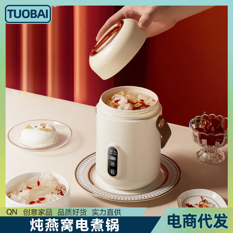 小电炖锅煮粥炖煮迷你小型家用养生炖煮杯办公室煮粥煲迷你电炖杯