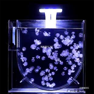 创业摆地摊缸缸养水母摆全套智能循水母缸环摊养殖XRT网红灯樱桃