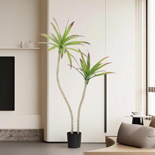 工厂直销仿真舌龙兰龙血树造景户仿外真绿植盆栽装饰沙QXO生植物