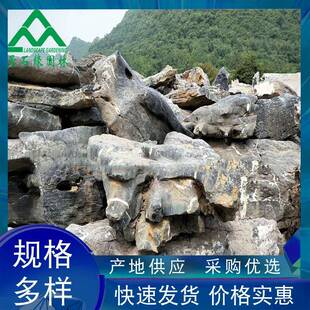 太4509石庭院鱼池山石驳岸景假观石窟湖窿石观赏石式园中林造景石