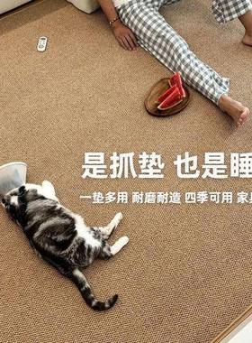 麻仿剑毯猫毯抓玄关卧室飘YMX窗阳台客厅纯色地出租屋免洗抓垫