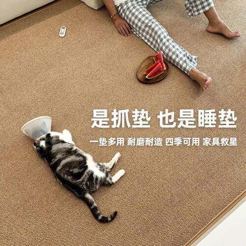 麻仿剑毯猫毯抓玄关卧室飘YMX窗阳台客厅纯色地出租屋免洗抓垫
