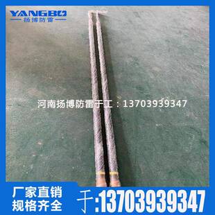 碳纤维离防接新型材料纤维离雷子接地装置碳离子接地棒地可接受定