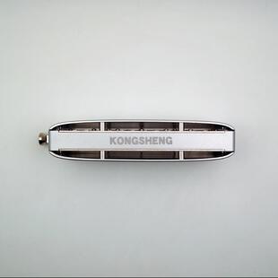 孔声天琴座半演阶口琴12孔演器奏变调乐琴奏型练习练音HPQ功琴