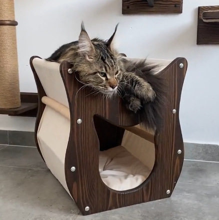 极简主义木质猫窗栖猫洞猫床架