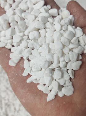 现货白色卵园庭艺铺面院装饰用白石小XYU色石子