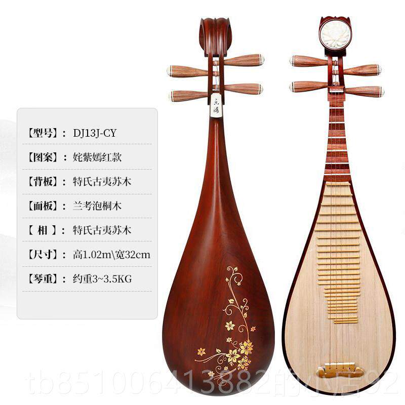 正品乐海 琵琶古乐器考入门级特氏夷木苏材质木轴木相原木色直播