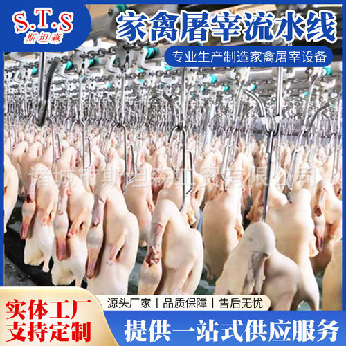 自动鸭屠宰设备 鸡鸭鹅家禽屠宰流水线设备厂家 自动鸡屠宰设备