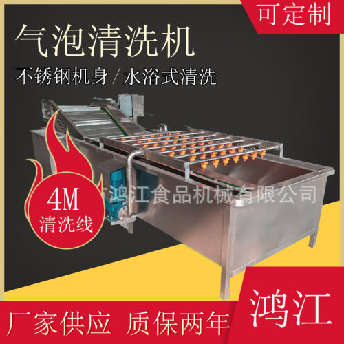 果蔬清洗线现货青梅梅子设备黑枣自动流水线厂家食品级清洗机