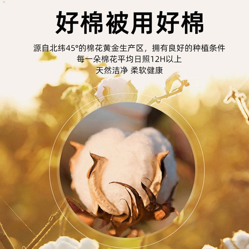 新疆纯棉花被子A类加厚冬被学生宿舍单人春秋季棉被芯夏凉空调被,床上用品,棉花被,淘宝优惠券,粉丝福利购,淘宝优惠卷